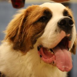 photograph by PeterW